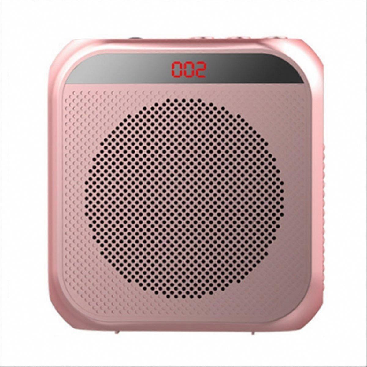 Portable Wireless Microphone Amplifier, Compact Bluetooth Speaker for Teaching and Guided Tours