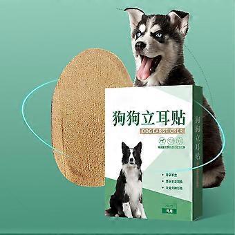 Dog Ear Support Tool  Vertical Holder for Puppy, Dog  Sticker Up, Fixed Correction