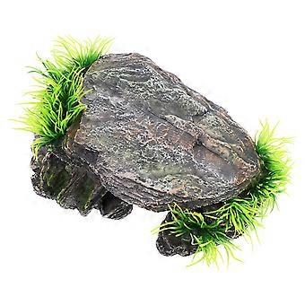 Krybdyr Bade Platform Skjulested Hule Krybdyr Hule Krybdyr Skjul Hule Skæg Drage Skjulested Skildpadde Krybdyr Badning Skjul Habitat Shelter