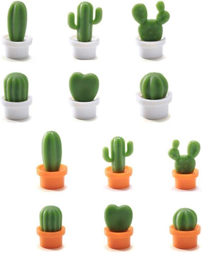 Strong Cute Succulent-Shaped Fridge Magnets