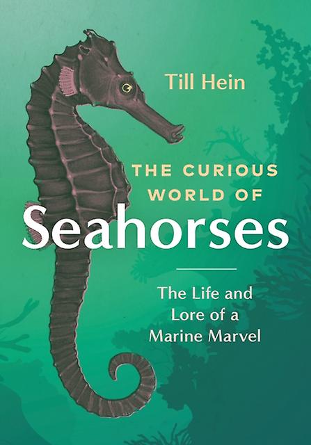 The Curious World Of Seahorses by Till Hein Hardback Book