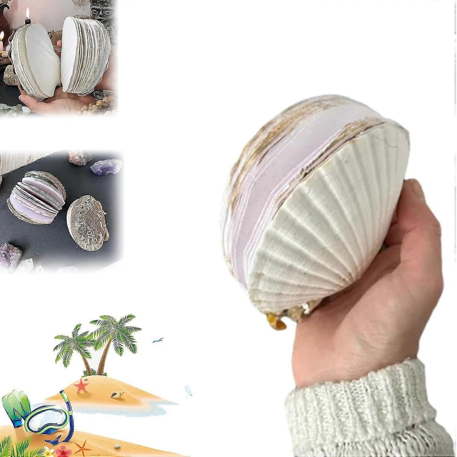 Abalone Shell/Lion's Paw Shell/Scallop Shell Journal, Journal Notebook, Natural Shells Textures Creative Sketchbook