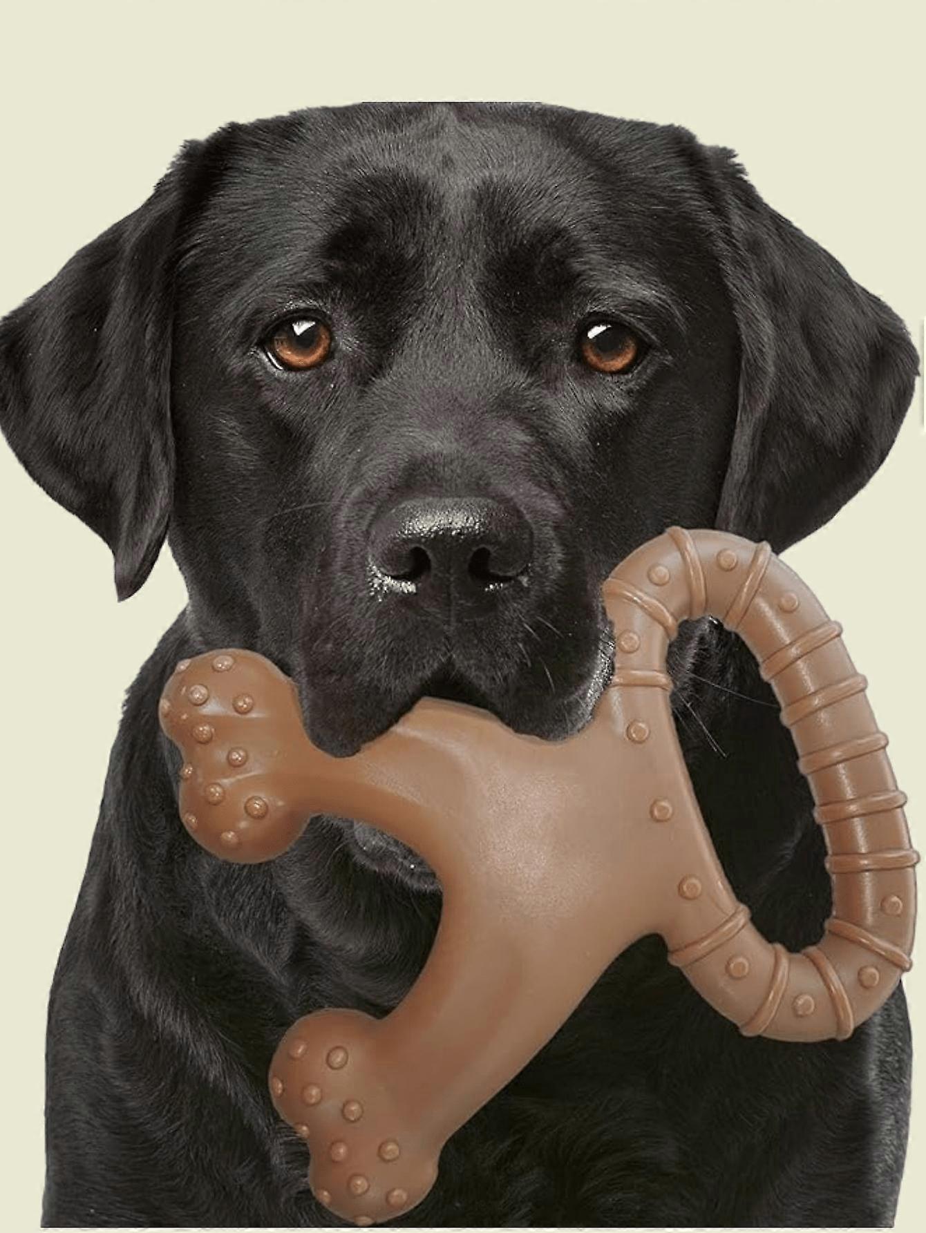 Durable Dog Toys For Aggressive Chewers, Interactive Dog Toys For Training And Cleaning, Suitable For Medium And Large Dogs,Dog Toys Coral Shaped Mola