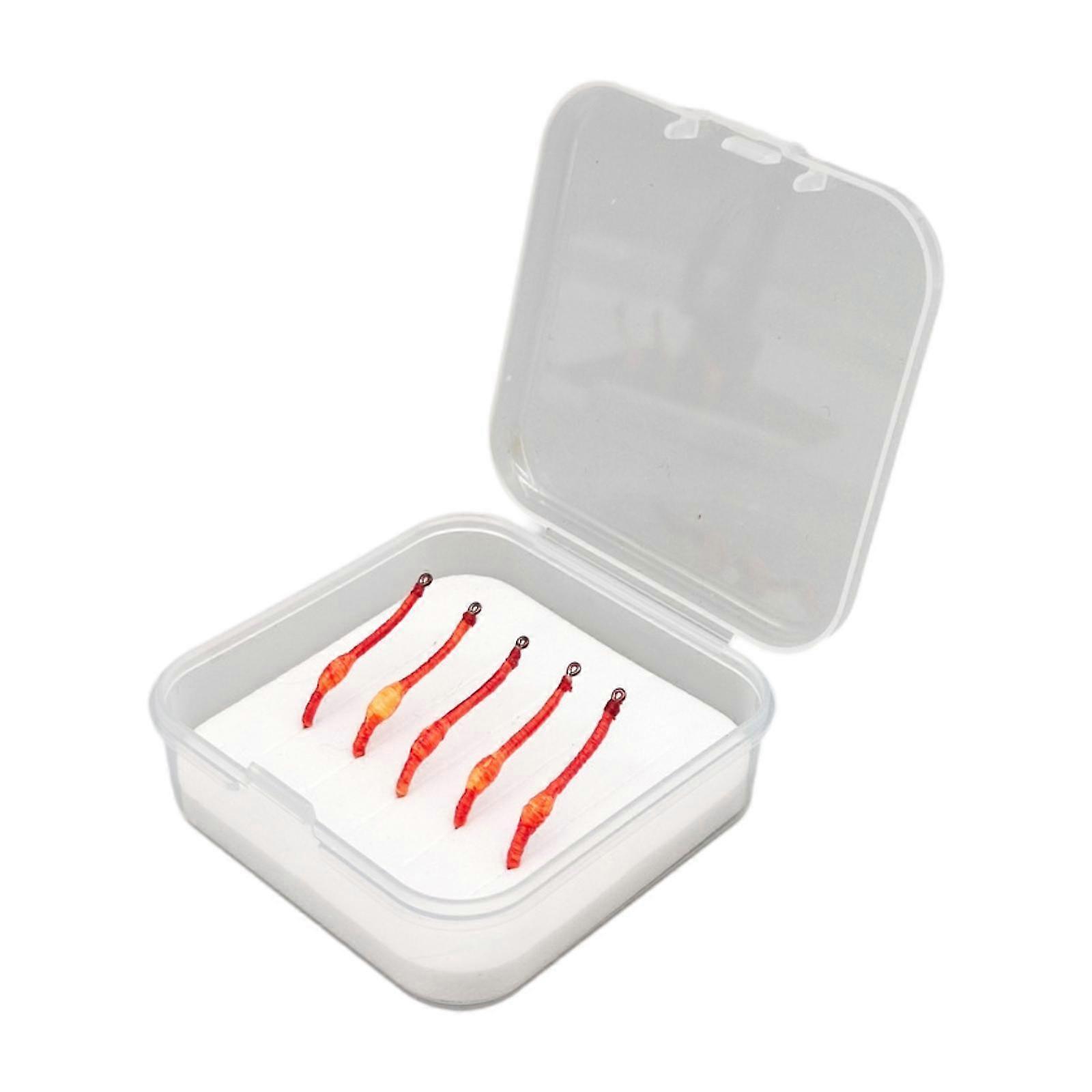 5ピースワームフライ収納ボックスワームフィッシングルアーを持つプロの初心者