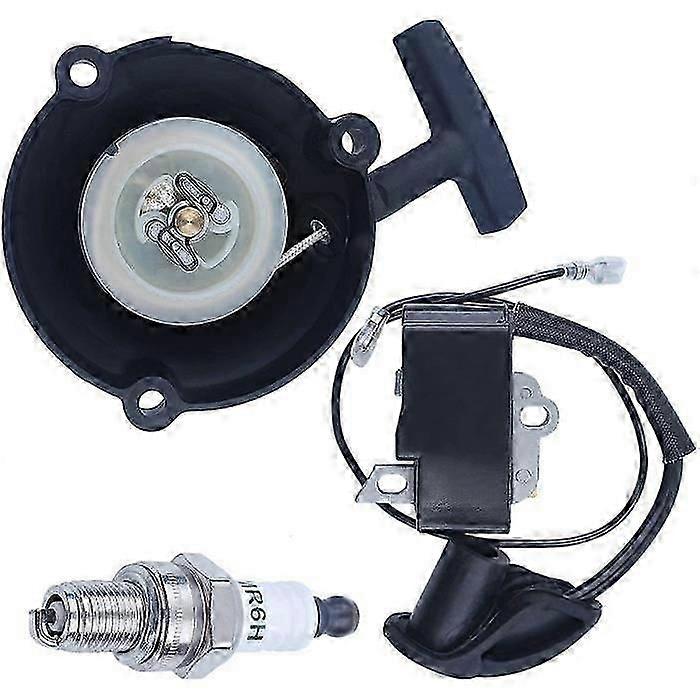 Recoil starter ignition coil kit Compatible With stihl BR600 BR550 BR500 BR700 Replace 4282 190 0303 4282 400 1305 -cdsx