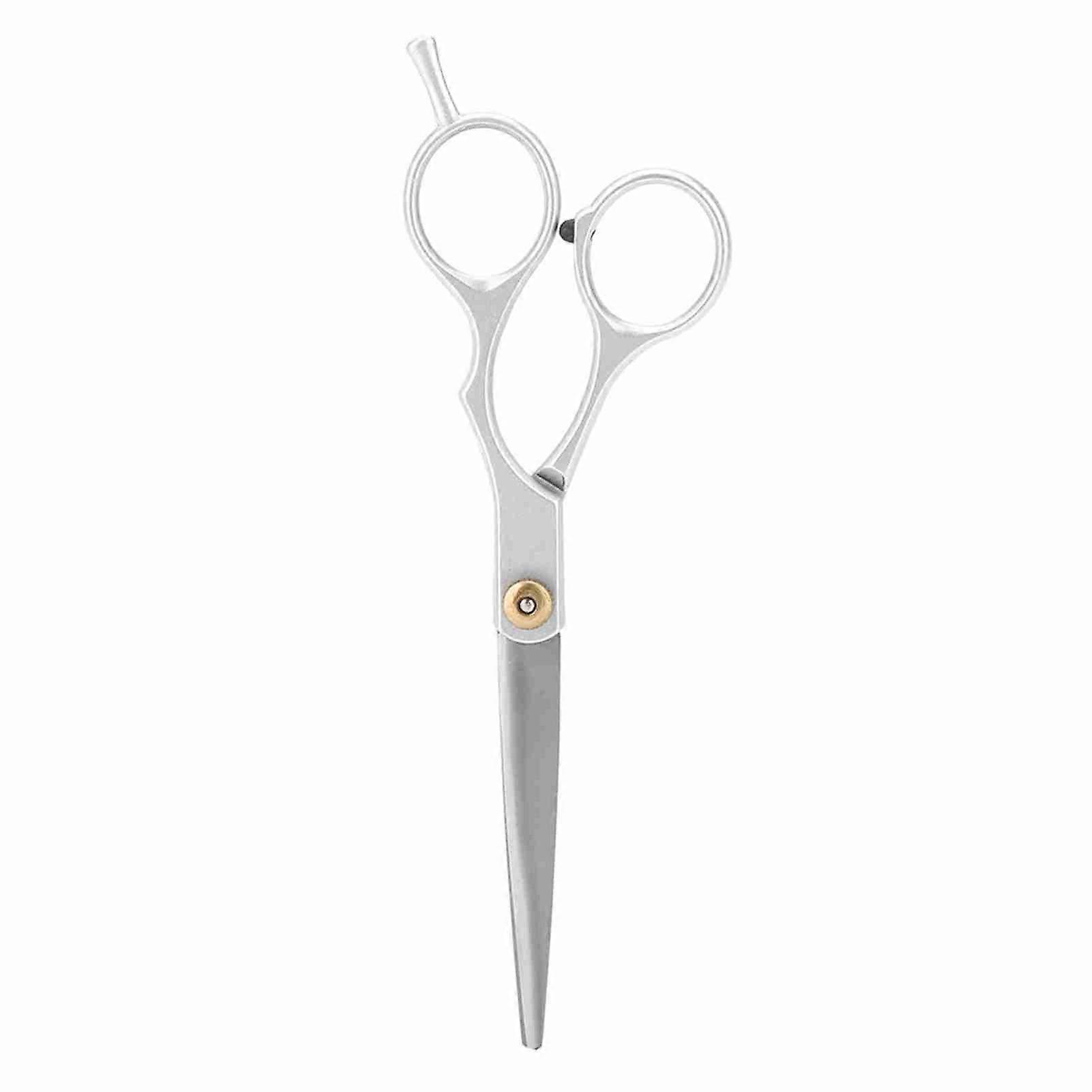 Ciseaux de coiffure professionnels pour coupe de cheveux et effilage