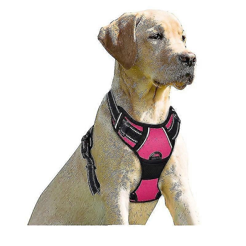 רתמת כלבים ללא משיכה רתמת אפוד לחיות מחמד מרופדת מתכווננת לאילוף כלבים גדולים