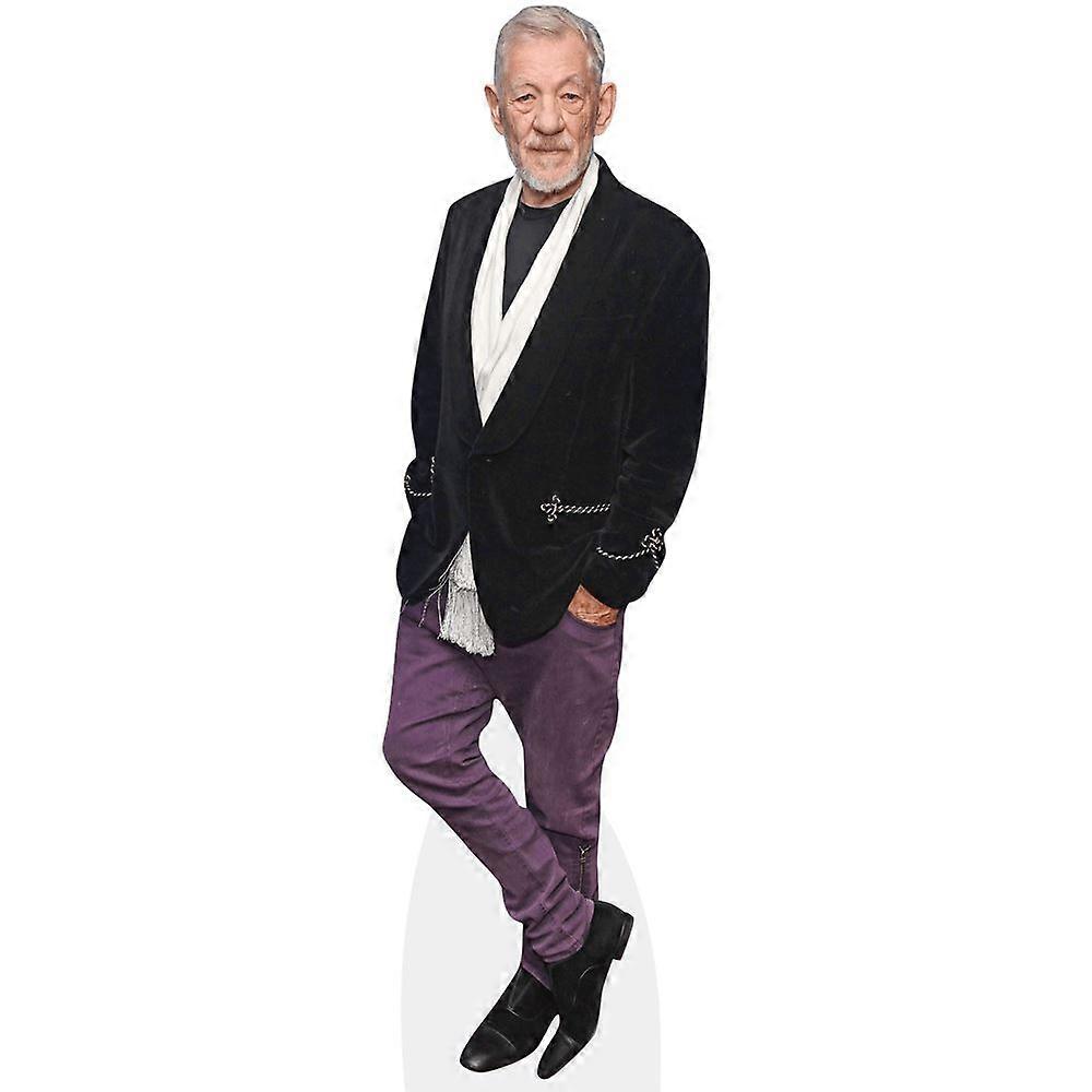 Ian McKellen (Pose) Cardboard Cutout (lifesize OR mini size). Standee. Stand Up.