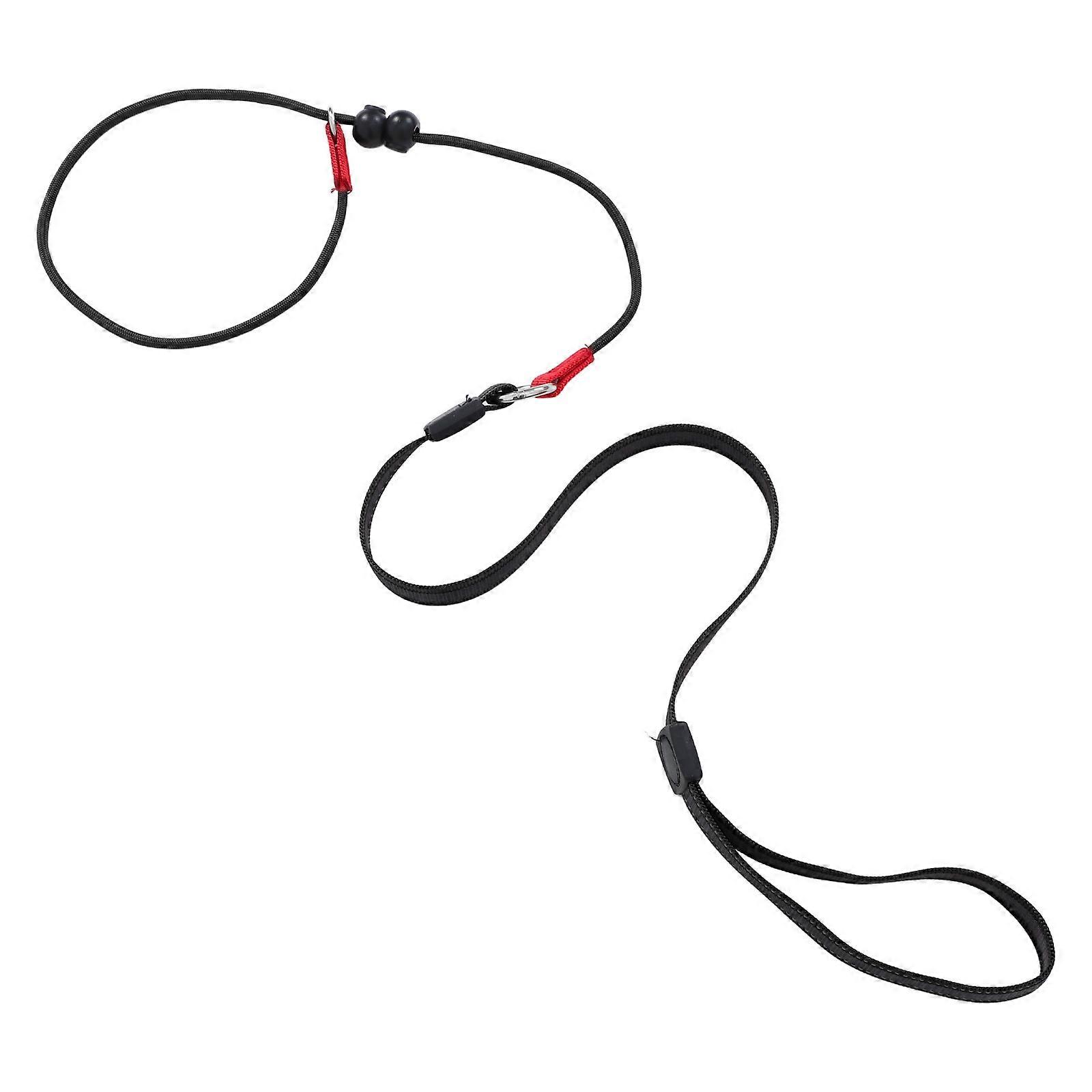 Slip Lead Dog Leash for Training with Comfortable Control