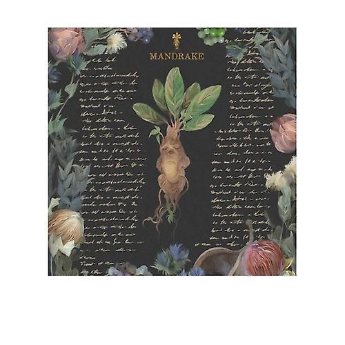 Harry Potter Yume Fantasy Print