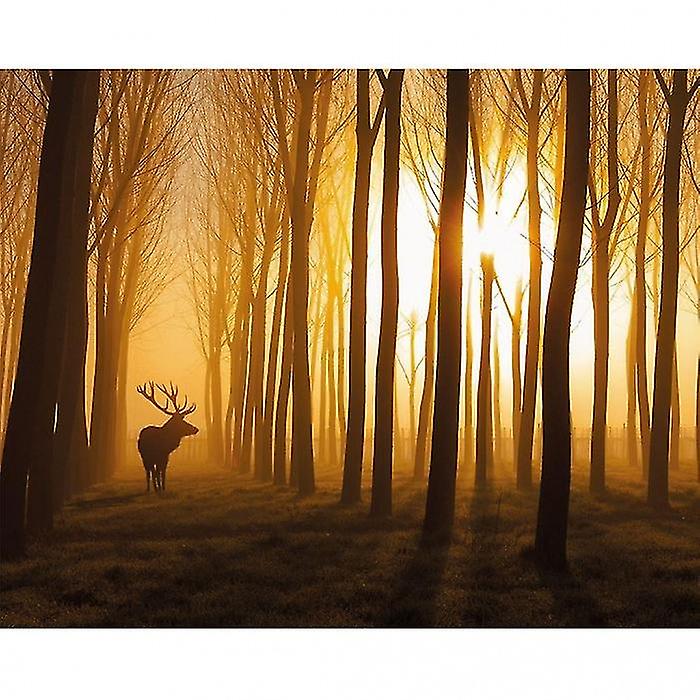 Nafets Norim Once Upon A Time Canvas Print