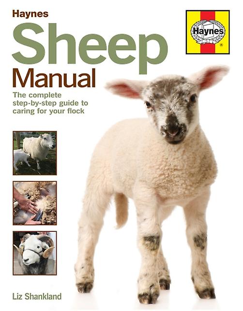 Sheep Manual by Liz Shankland Paperback Book