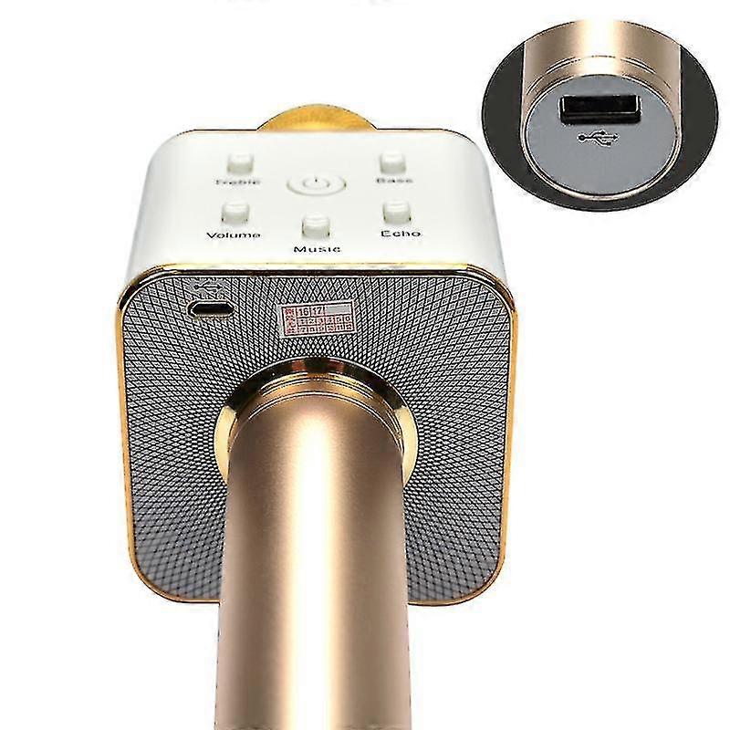 KTV Karaoke-Mikrofon