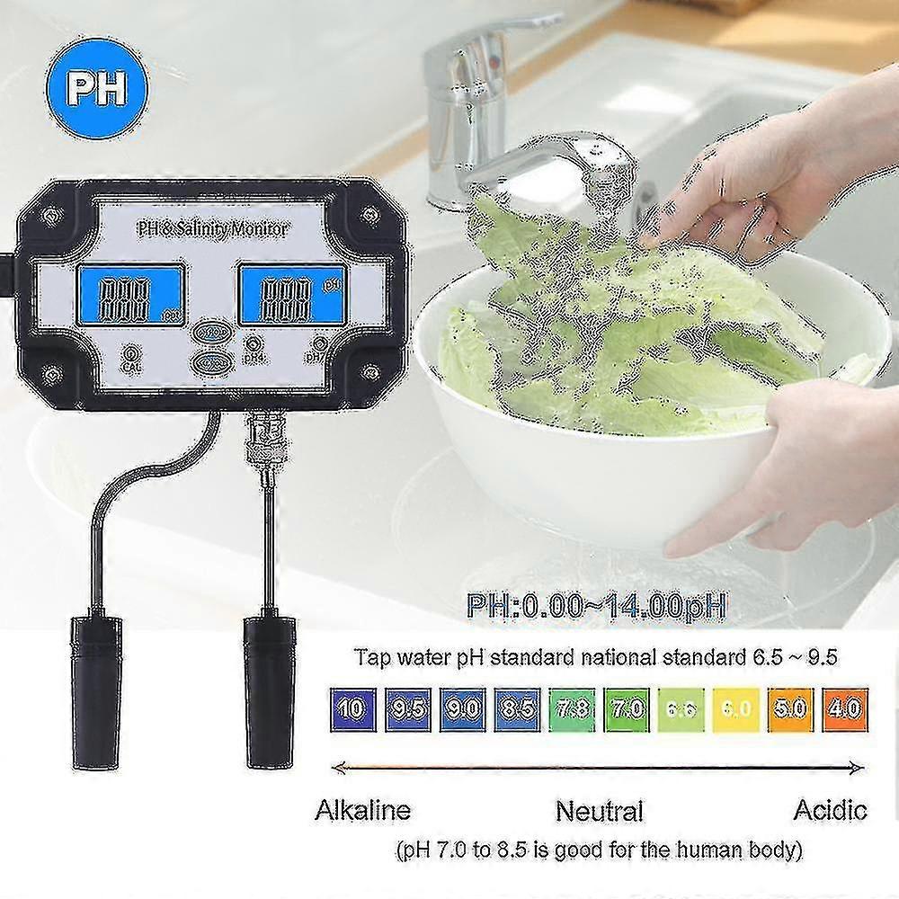 New Ph Ity Meter Er Detector Mon 2 In 1 Ph Meter Portable