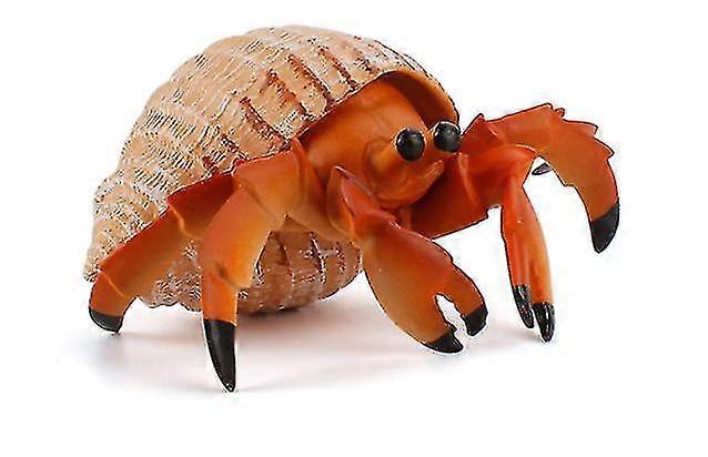 Hermit Crab Toy Educatal Animal E Props Learning