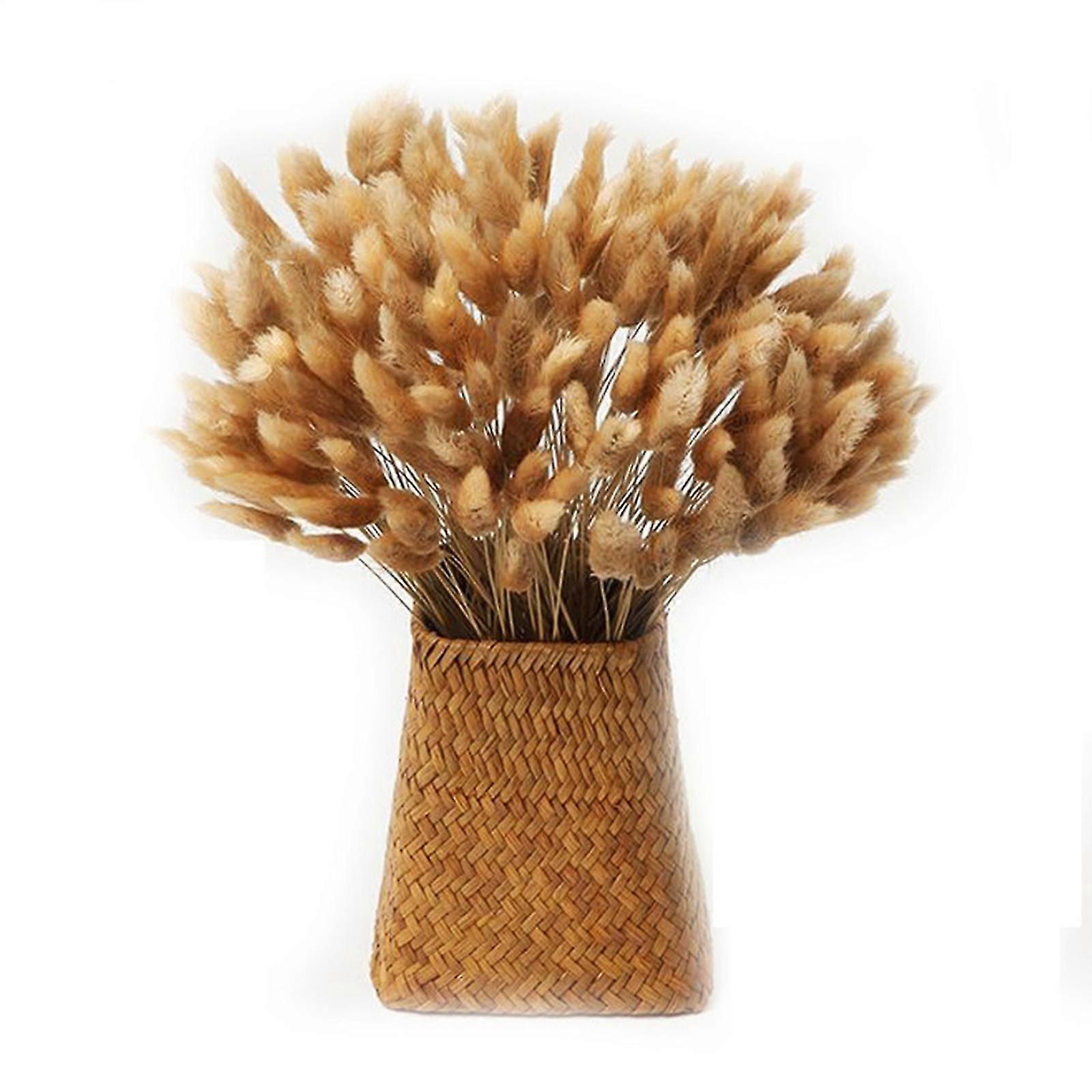 ドライセタリアドライフラワーブーケDIYハンドドライフラワー家具家庭生活のための装飾