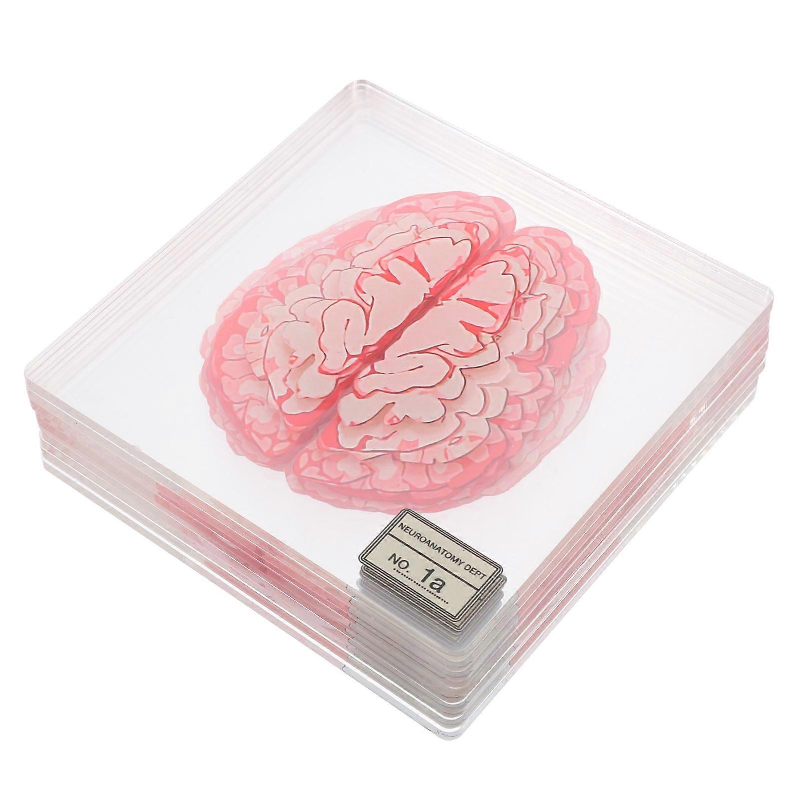 30Pcs Spooky Halloween Blood Slice Coasters Acrylic Table Mats Kitchen Decor 10X10X0.3CM Versatile Functionality