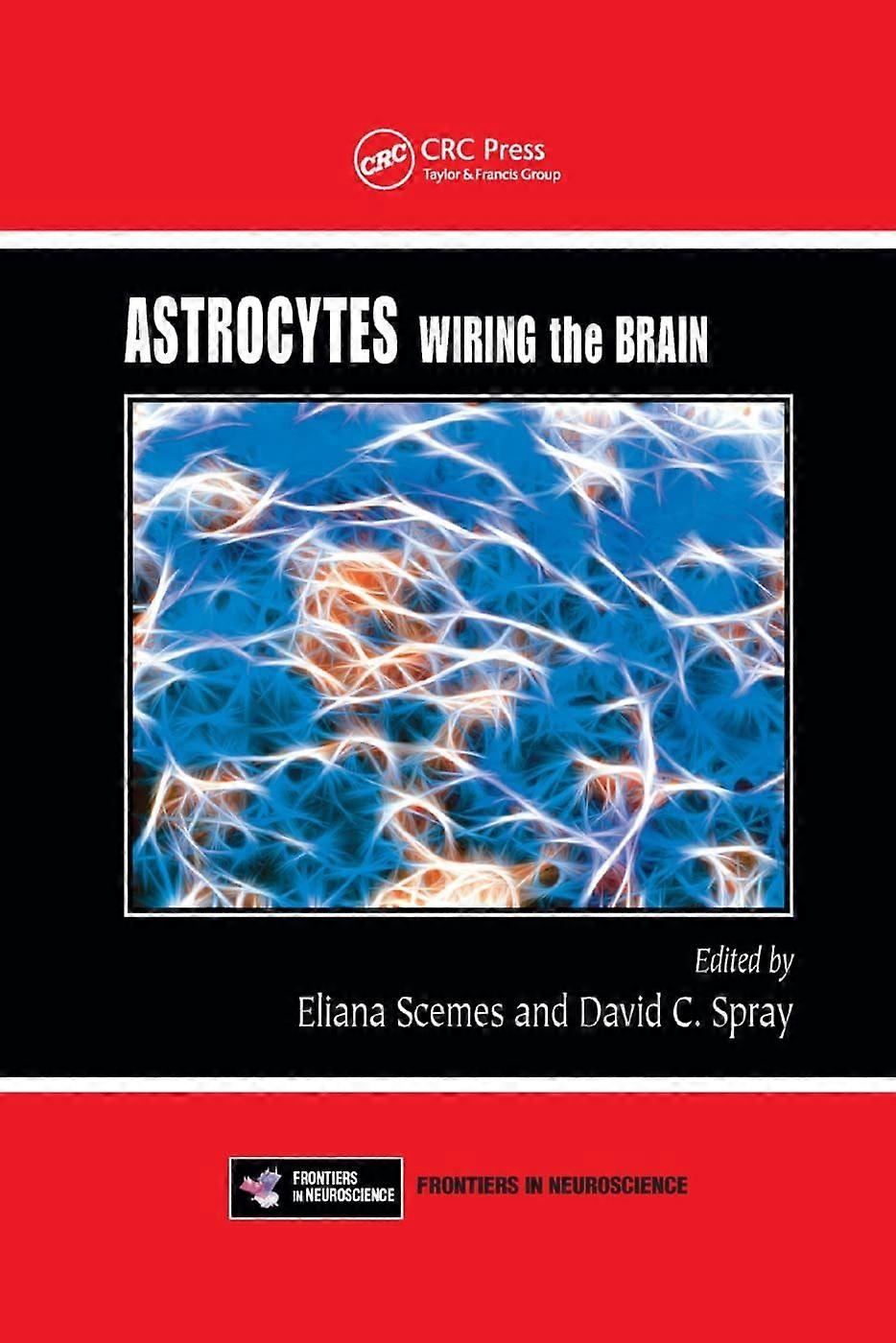 Astrocytes wiring the brain