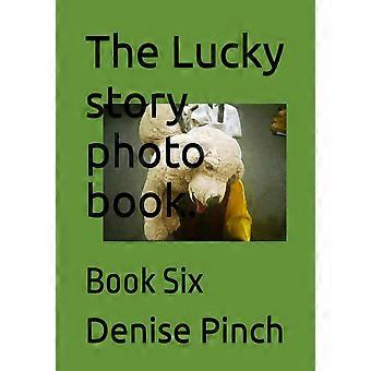 The lucky story photo book. - book six