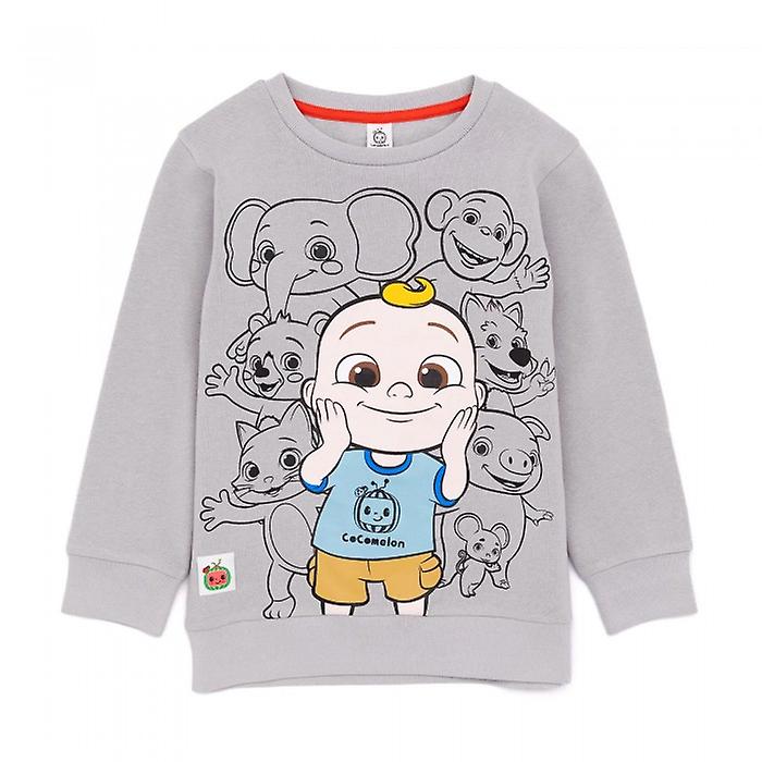 Cocomelon Childrens/Kids Group Shot Sweatshirt