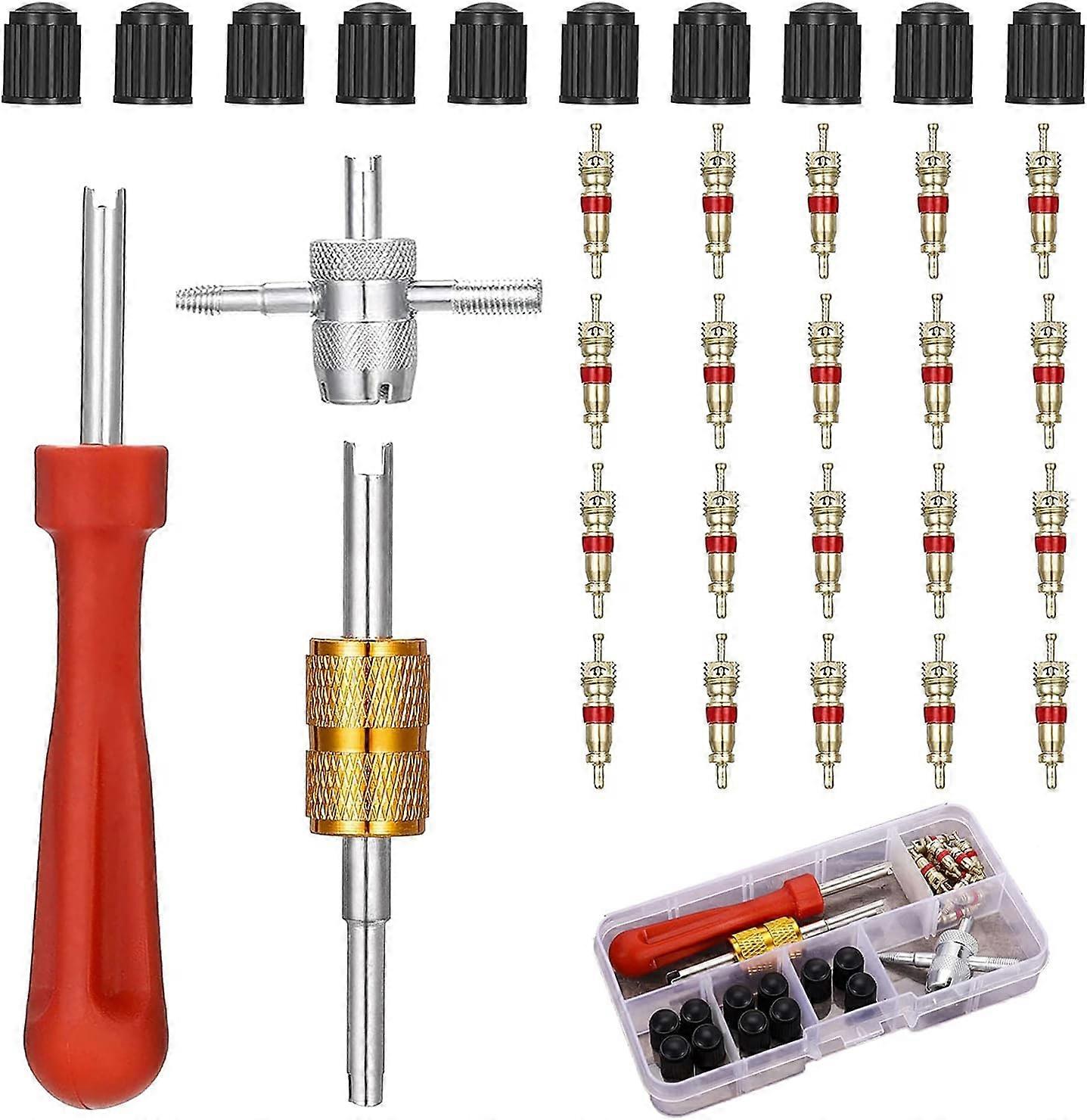 Valve Core Tire Valve Removal Kit, Double and Single Head Valve Core Pullers,2024 Ping