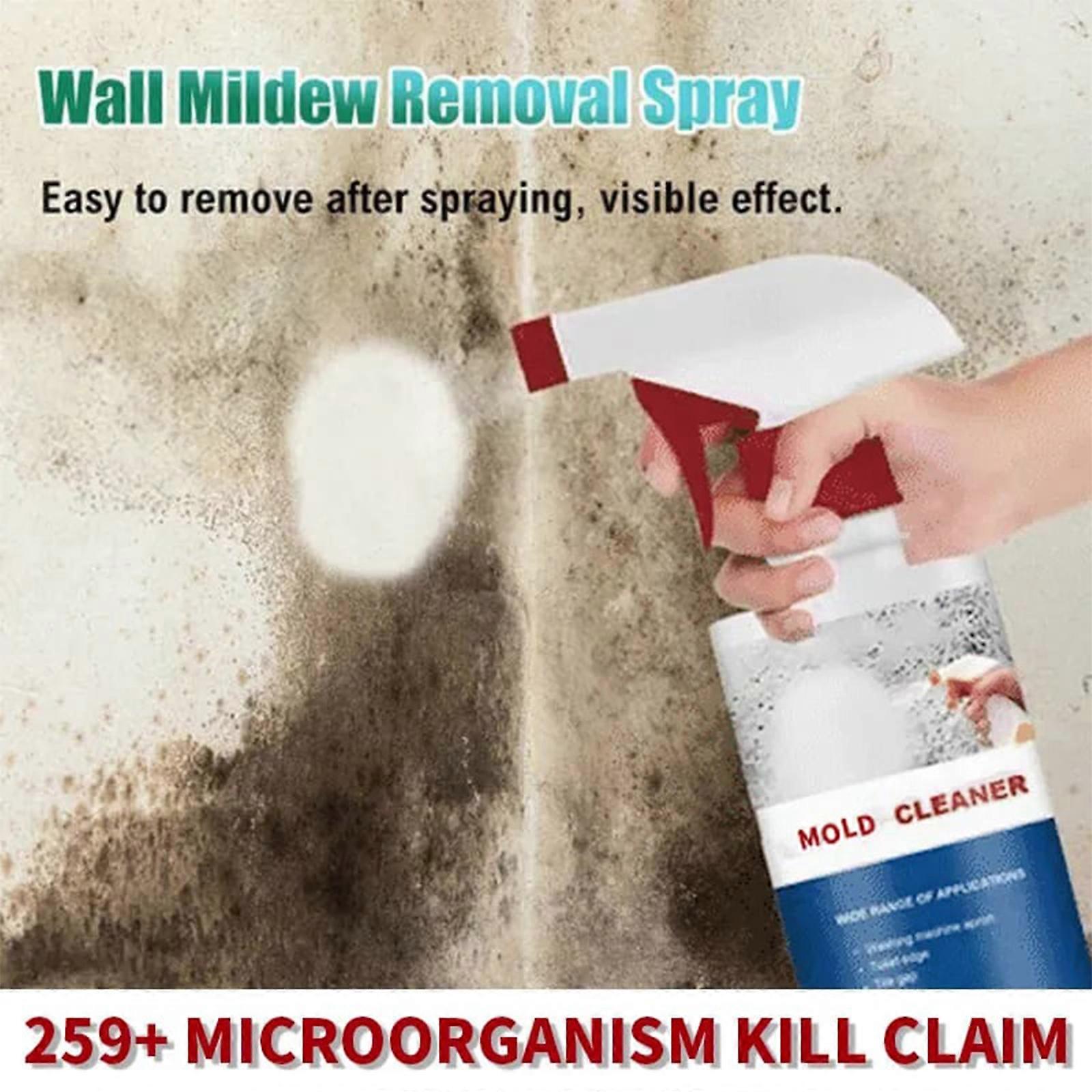 Anti-mould Foam Cleaner