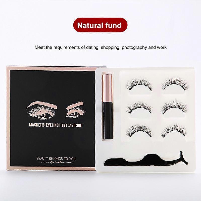 Magnetic Eyelashes and Eyeliner Set DramaticReusable Natural False Eyelashes