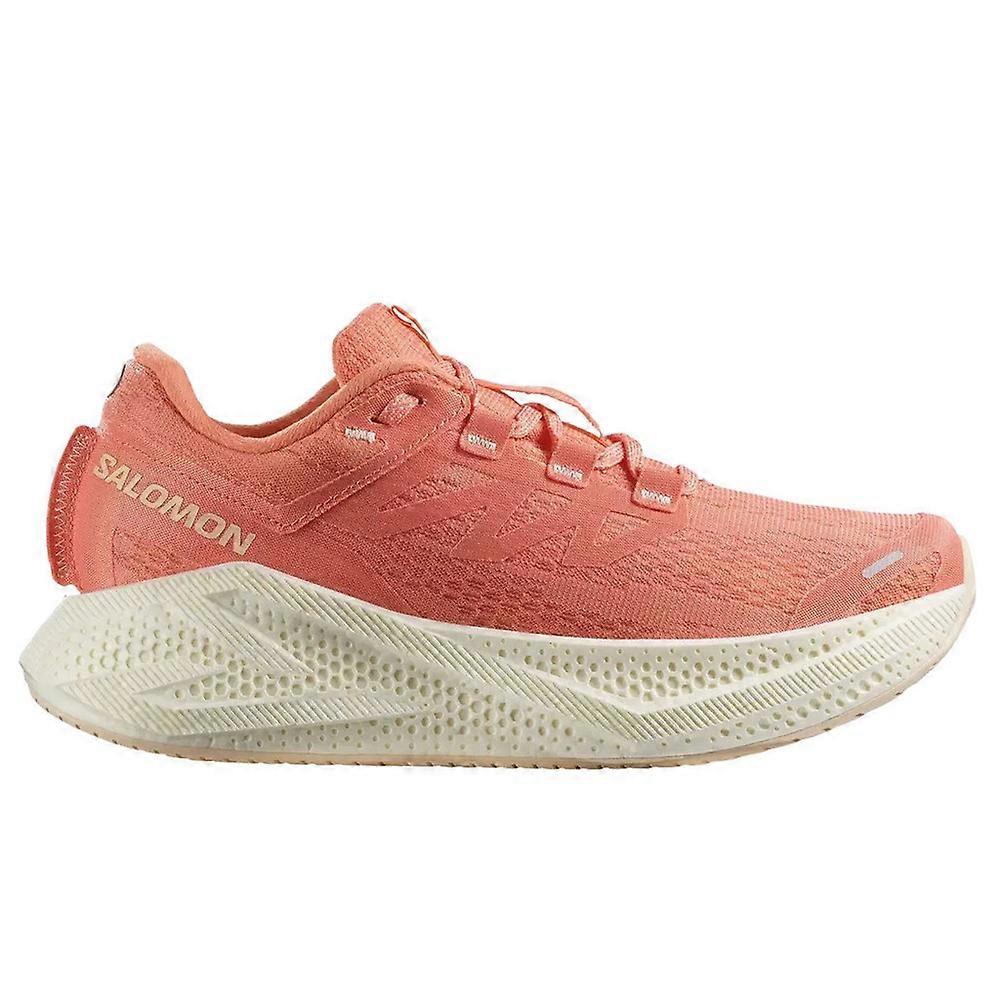 Shoes Salomon Aero Glide 3 478107
