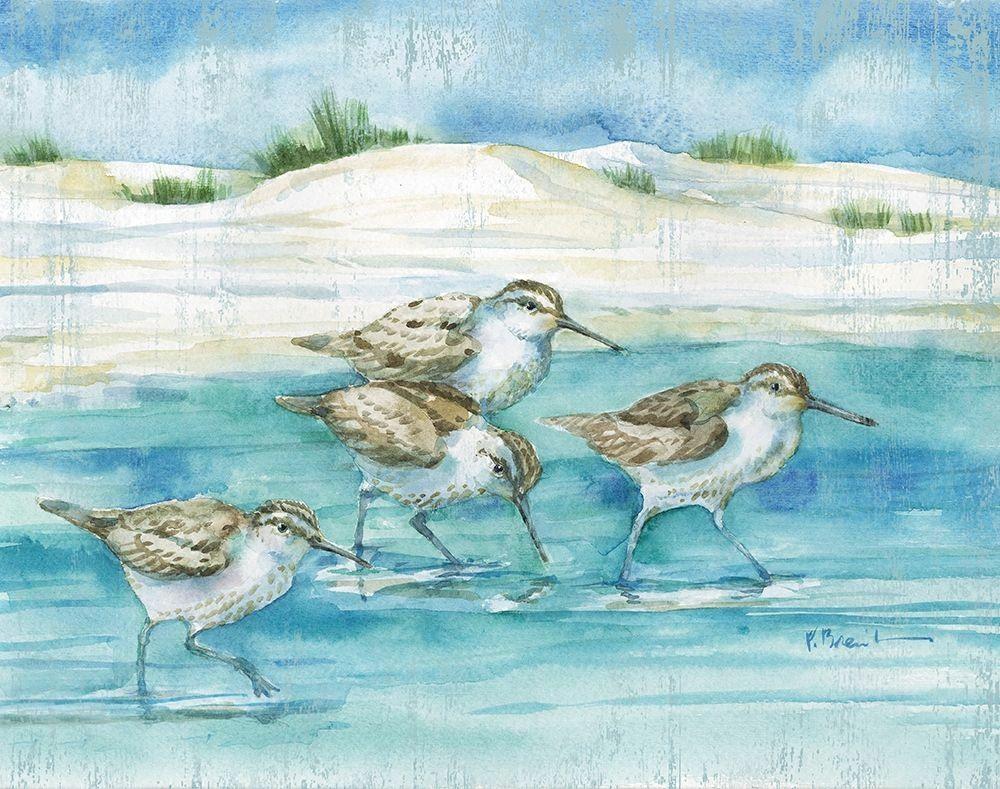 Sandy Sandpipers I Poster