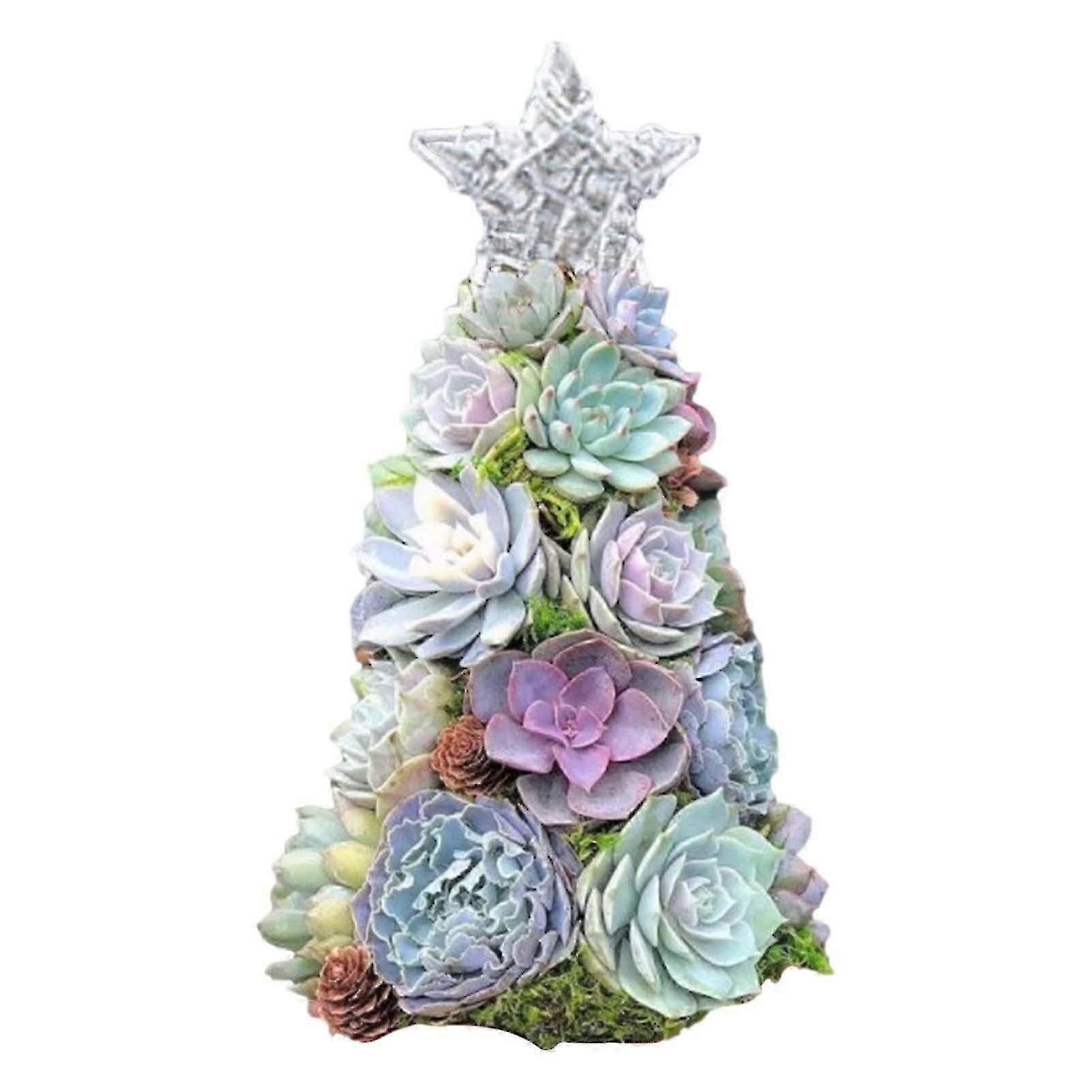 christmas decorations Surprise Christmas Gift Succulent Christmas Tree