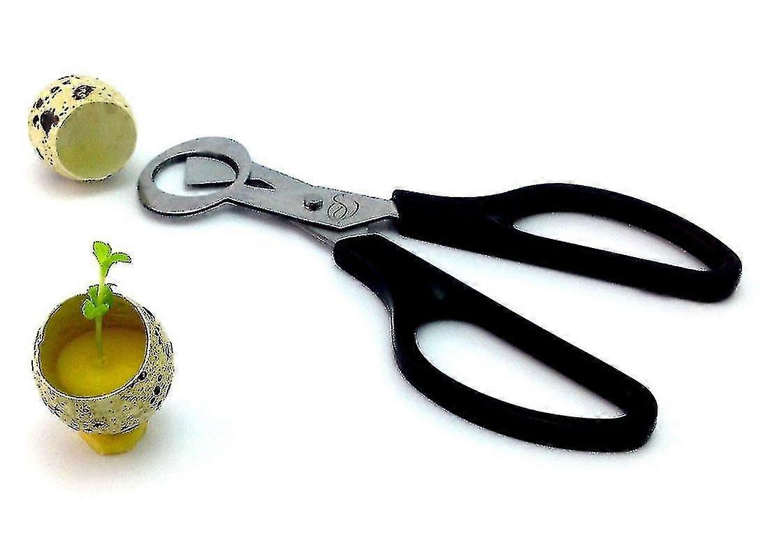 Quail Egg Scissor Bird Cutter Opener Tool