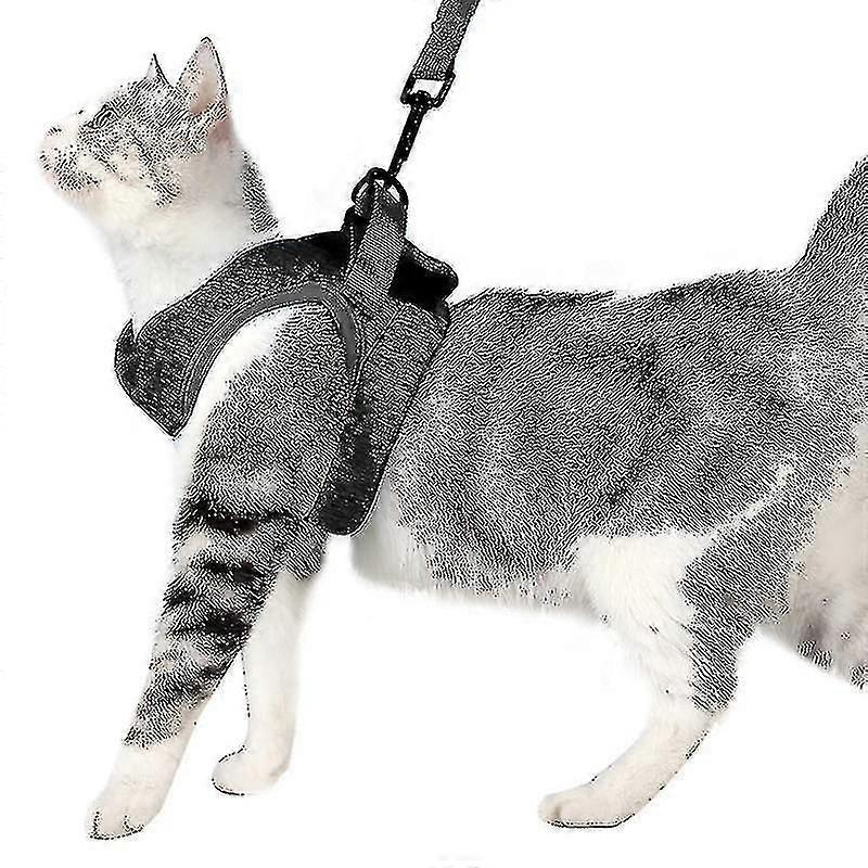 Ultralight Cat Harness And Leash Soft And Comfortable(1Pcs,Black)