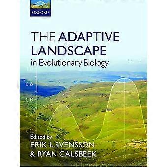 Die adaptive Landschaft in der Evolutionsbiologie