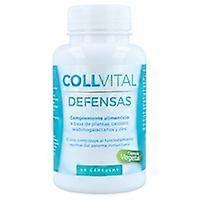 Collvital defenses 90 vegetable capsules