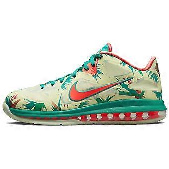Nike LeBron 9 Low 'LeBronold Palmer' DO9355-300