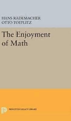 A matematika élvezete