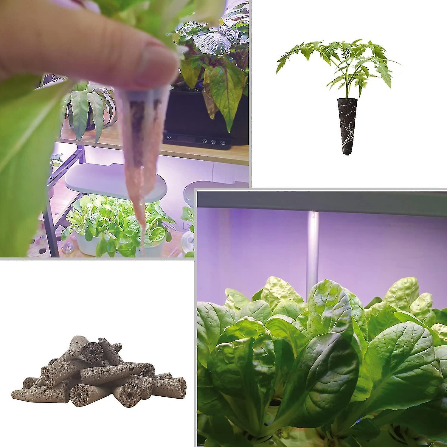 Grow Spons For Use With Aeroen, Eco-friendly Plant Growing Plugs Spons ...