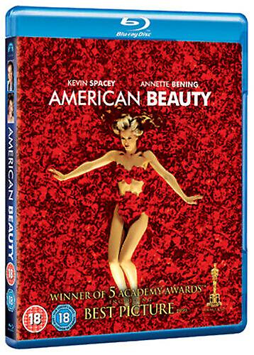 الجمال الأمريكي دي في دي (2011) كيفن سبيسي مينديز (دير) شهادة 18 جديد -- منطقة 2