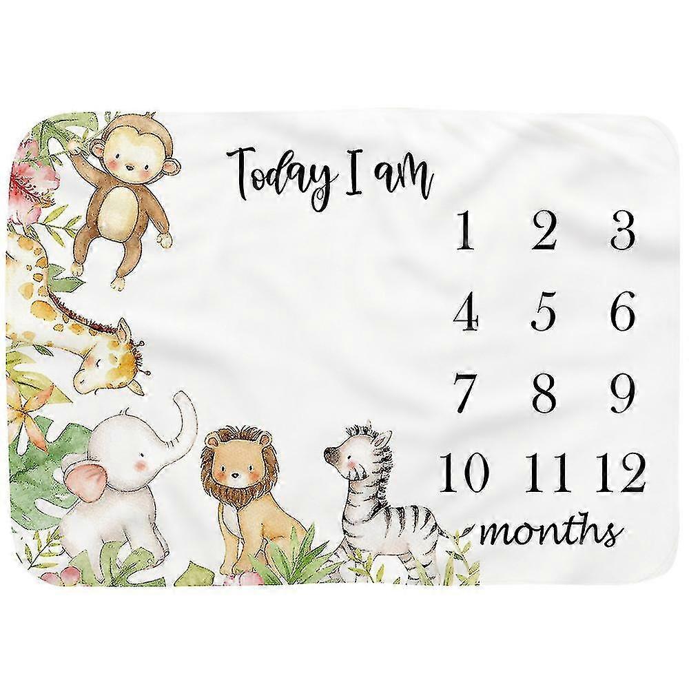 طفل الشهرية معلم الفانيلا بطانية حديثي الولادة صورة حصيرة خلفية التصوير الفوتوغرافي