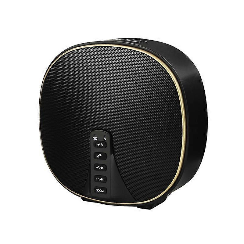 DY-52 10W Stereo Bluetooth Speaker, Support 35GB TF Card