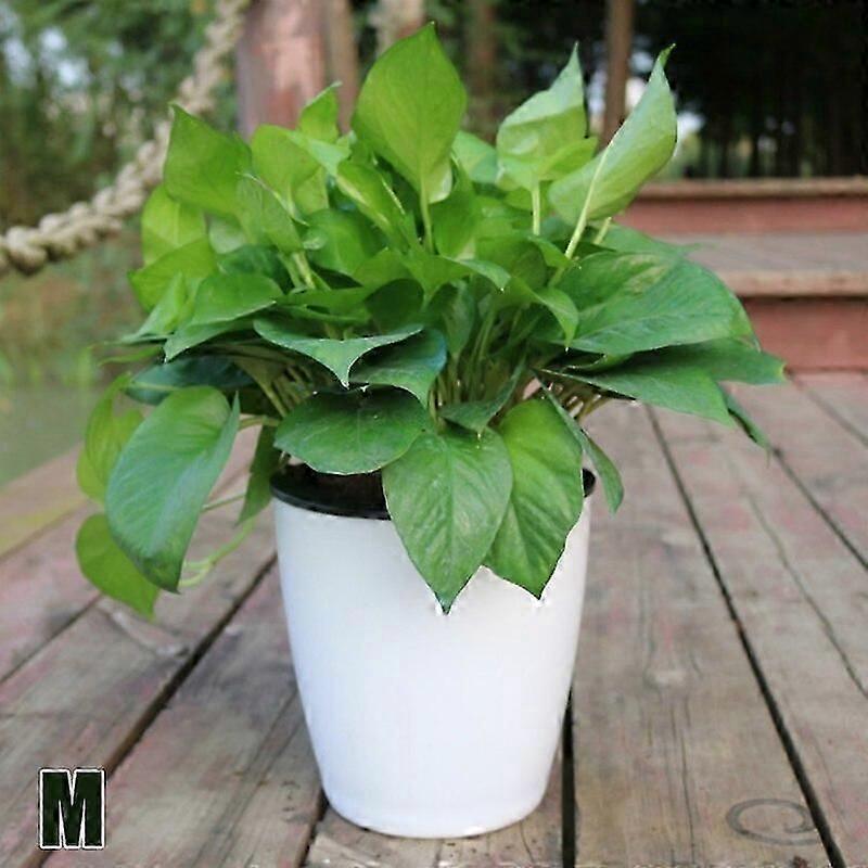 6 Size Lazy Flower Pot Outer And Inner Pot Imitation Porcelain Series Garden Plastic Self Watering Flowerpot With Cotton Rope Pots Planters