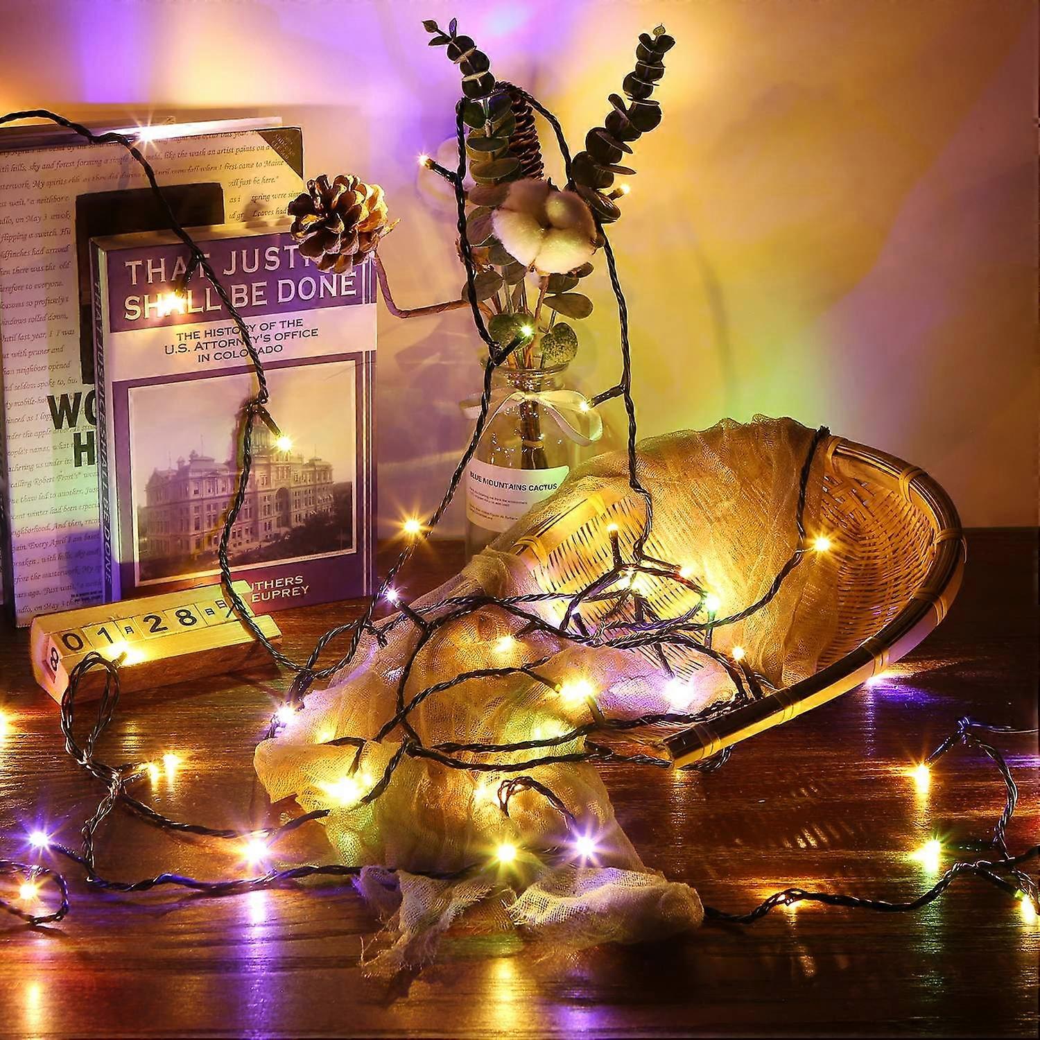 Tomshine 23m/75.46ft 200LEDs String Lights with Remote Control Multi-color 11 Lighting Modes Timer F