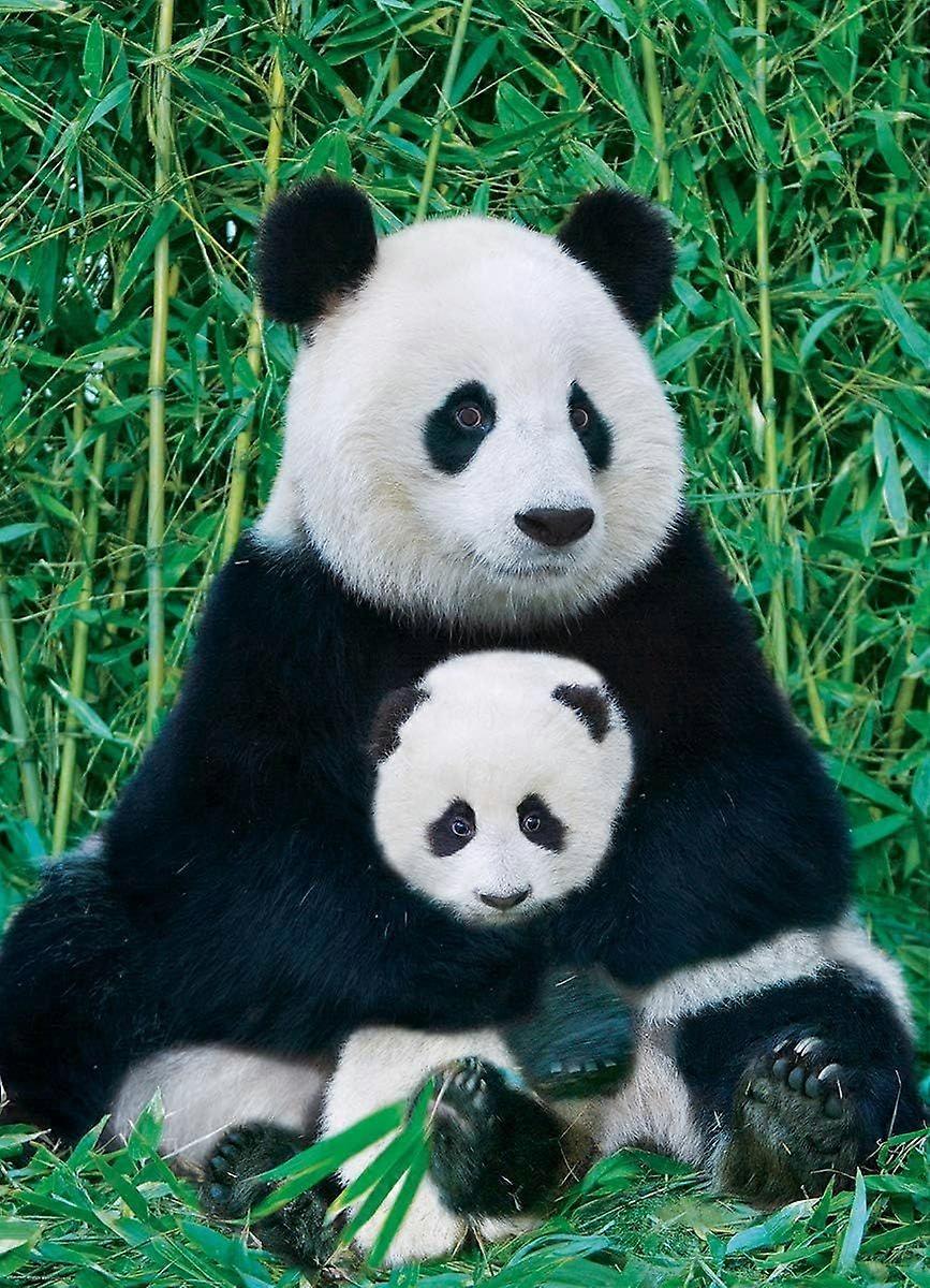 Panda e Bebê 1000 Peça Puzzle