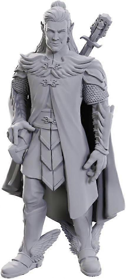 Critical Role Unpainted Miniatures Dorian Storm(W23)