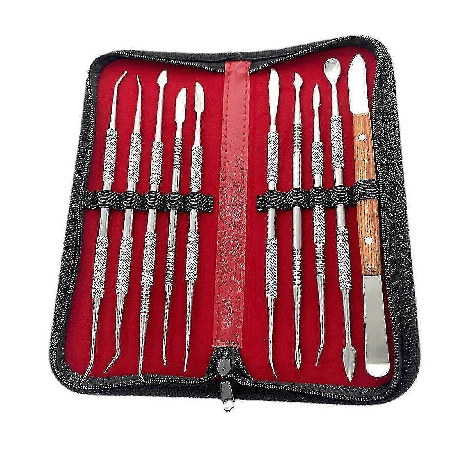 10 Piece Professional Wax Carving Set Stainless Steel Dental Instruments In Case For Dentists And Students