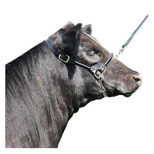 Sullivan Supply, Inc. Rolled Nose Leather Show Cow Halter Medium Black, 1 Count