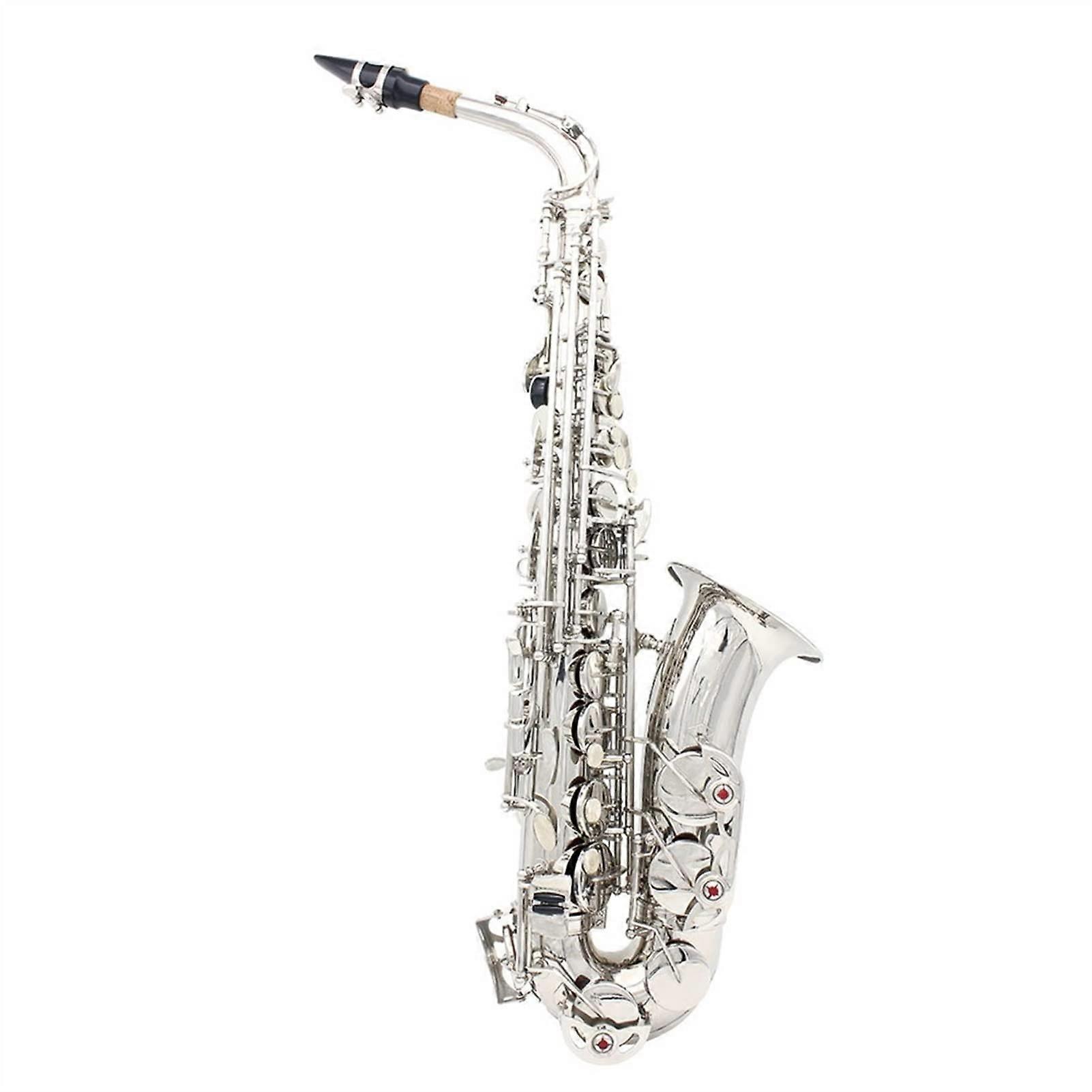 Silver E Flat Alto Saxophone for Beginners, Brass Instrument Kit with BeginnerFriendly Design
