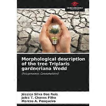 Morphological description of the tree triplaris gardneriana wedd polygonaceae, caryophyllales