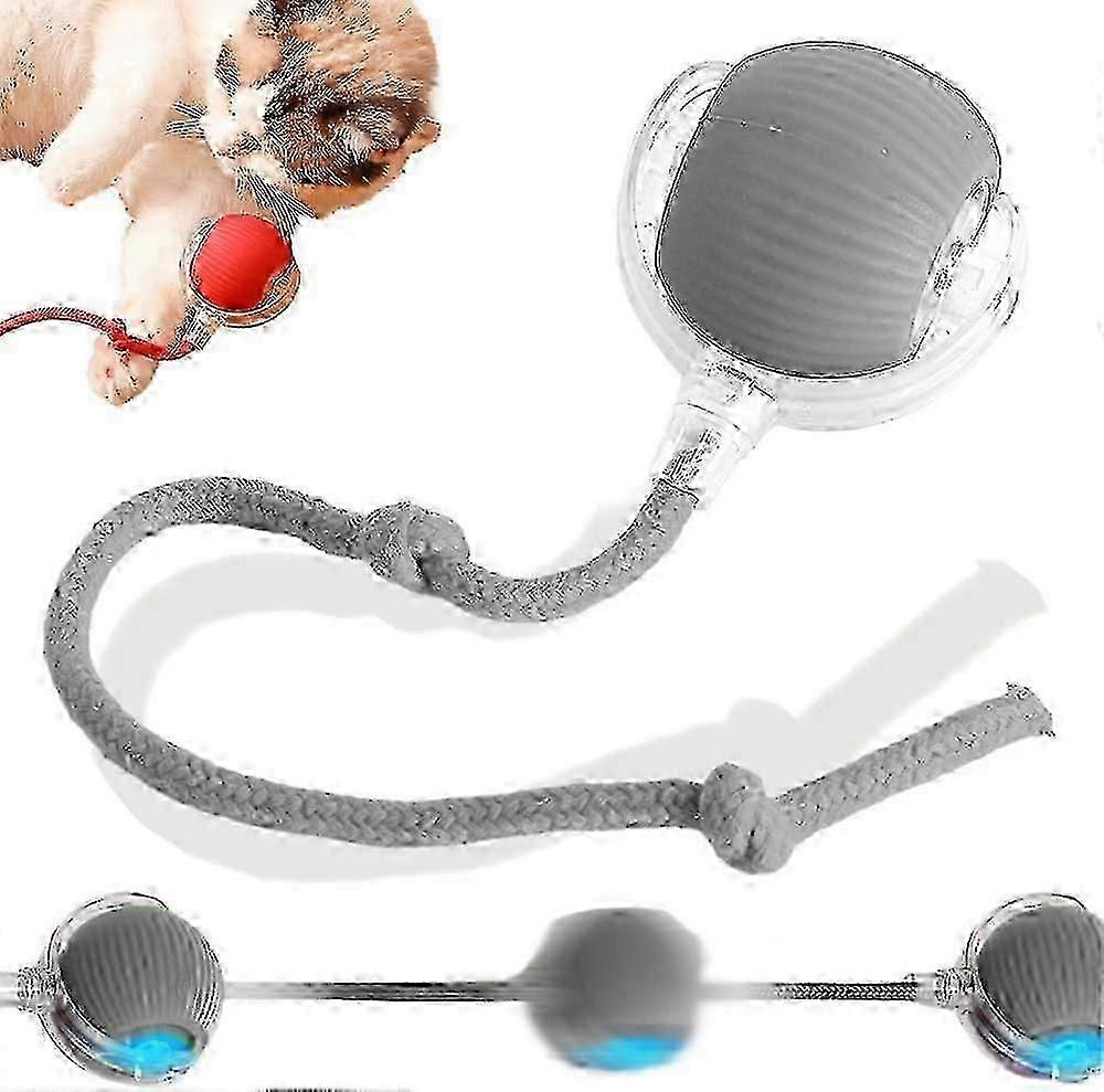 Interactive Dog Ball Toy with Automatic Self Rolling Function for Pets [MI]