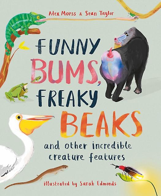 Funny Bums Freaky Beaks by Sean Taylor Paperback